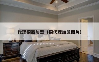 代理招商加盟（招代理加盟图片）