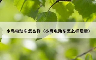 小鸟电动车怎么样（小鸟电动车怎么样质量）