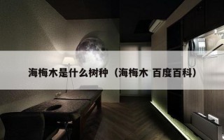 海梅木是什么树种（海梅木 百度百科）