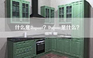 什么是Dupont？Dupont是什么？