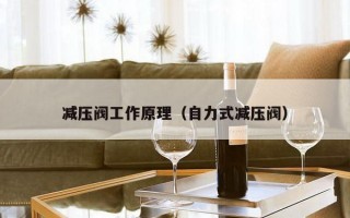 减压阀工作原理（自力式减压阀）