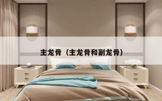 主龙骨（主龙骨和副龙骨）