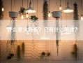 什么是火烧板？它有什么用途？
