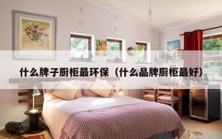 什么牌子厨柜最环保（什么品牌厨柜最好）