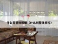 什么是整体橱柜（什么叫整体橱柜）