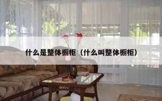 什么是整体橱柜（什么叫整体橱柜）