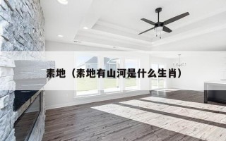 素地（素地有山河是什么生肖）