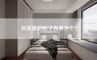 你家里的柜子有多少个？