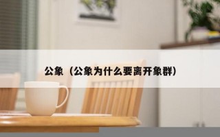 公象（公象为什么要离开象群）