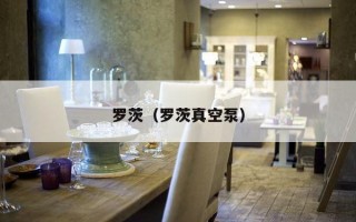 罗茨（罗茨真空泵）