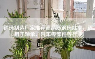 钢珠制造厂家推荐高品质钢珠批发，适用于轴承、汽车零部件等行业