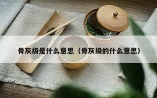 骨灰级是什么意思（骨灰级的什么意思）