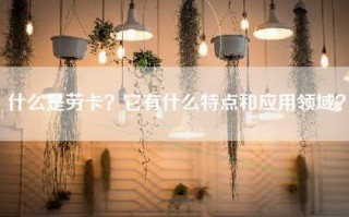 什么是劳卡？它有什么特点和应用领域？