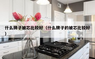 什么牌子被芯比较好（什么牌子的被芯比较好）