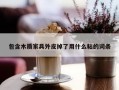包含木质家具外皮掉了用什么粘的词条