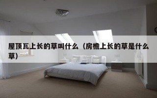 屋顶瓦上长的草叫什么（房檐上长的草是什么草）