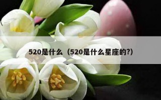 520是什么（520是什么星座的?）