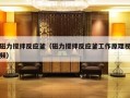 磁力搅拌反应釜（磁力搅拌反应釜工作原理视频）