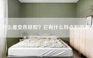 什么是变色硅胶？它有什么特点和用途？