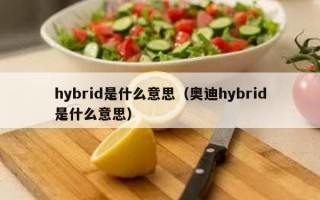 hybrid是什么意思（奥迪hybrid是什么意思）