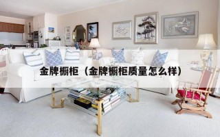 金牌橱柜（金牌橱柜质量怎么样）