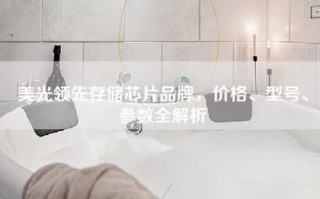 美光领先存储芯片品牌，价格、型号、参数全解析