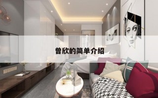 曾欣的简单介绍