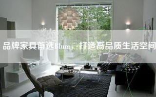 品牌家具首选Blum，打造高品质生活空间