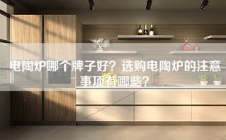 电陶炉哪个牌子好？选购电陶炉的注意事项有哪些？