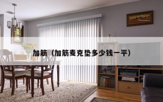 加筋（加筋麦克垫多少钱一平）