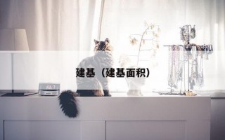 建基（建基面积）