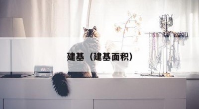 建基（建基面积）