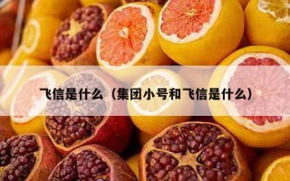 飞信是什么（集团小号和飞信是什么）