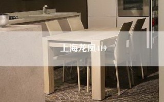 上海龙凤419