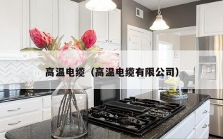 高温电缆（高温电缆有限公司）