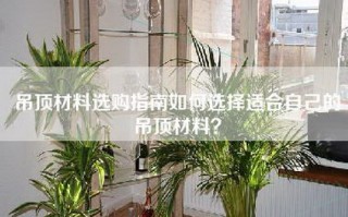 吊顶材料选购指南如何选择适合自己的吊顶材料？