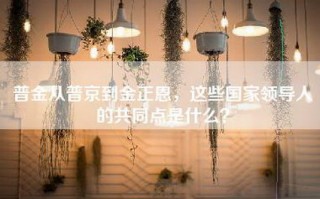 普金从普京到金正恩，这些国家领导人的共同点是什么？