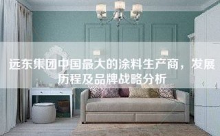 远东集团中国最大的涂料生产商，发展历程及品牌战略分析