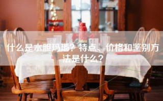 什么是水胆玛瑙？特点、价格和鉴别方法是什么？