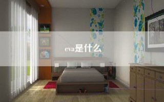 eva是什么