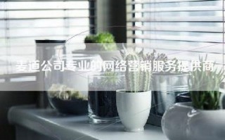 麦道公司专业的网络营销服务提供商