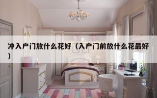 冲入户门放什么花好（入户门前放什么花最好）