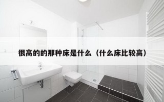 很高的的那种床是什么（什么床比较高）
