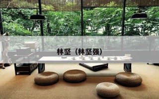 林坚（林坚强）