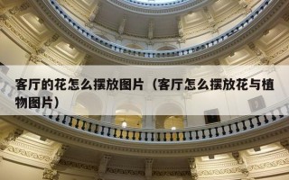 客厅的花怎么摆放图片（客厅怎么摆放花与植物图片）