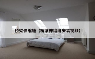 桥梁伸缩缝（桥梁伸缩缝安装视频）
