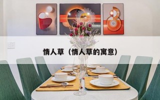 情人草（情人草的寓意）