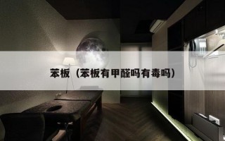 苯板（苯板有甲醛吗有毒吗）