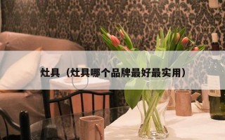 灶具（灶具哪个品牌最好最实用）