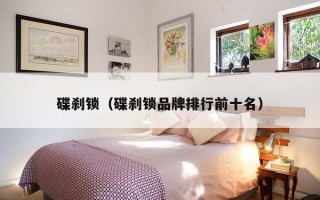 碟刹锁（碟刹锁品牌排行前十名）